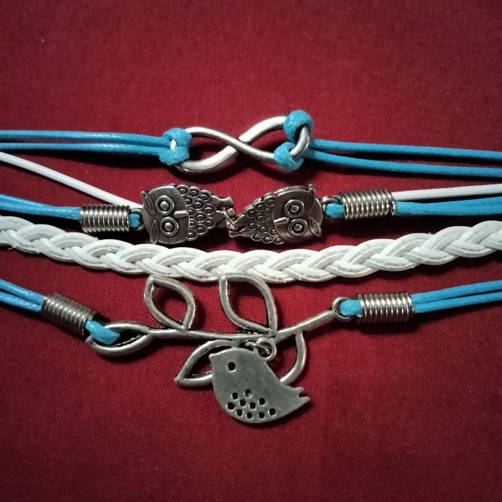 Blue & White ASHLEY BRIDGET Infinity Bracelet w/ Bird and Owl